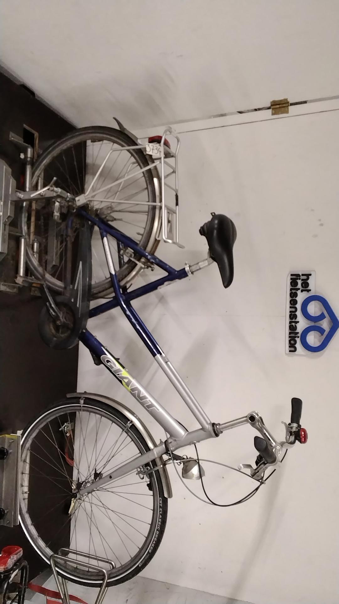 Fiets nr. 3734 Giant Freerider Damesfiets kleur Blauw