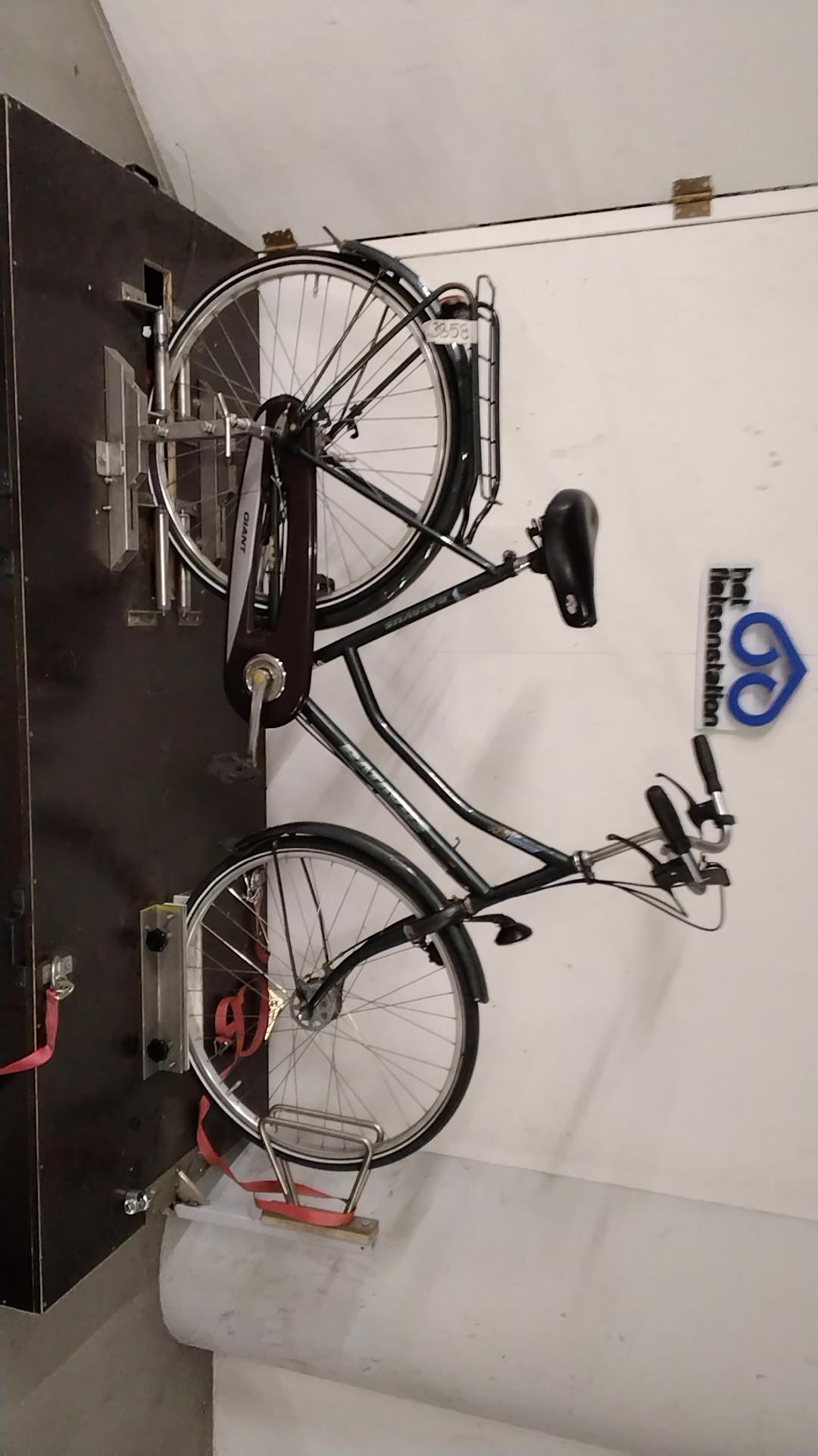 Fiets nr. 3858 Batavus Modena Damesfiets kleur Groen
