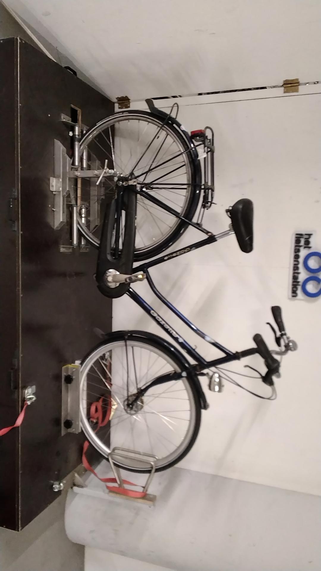 Fiets nr. 3703 Gazelle Free Damesfiets kleur Blauw