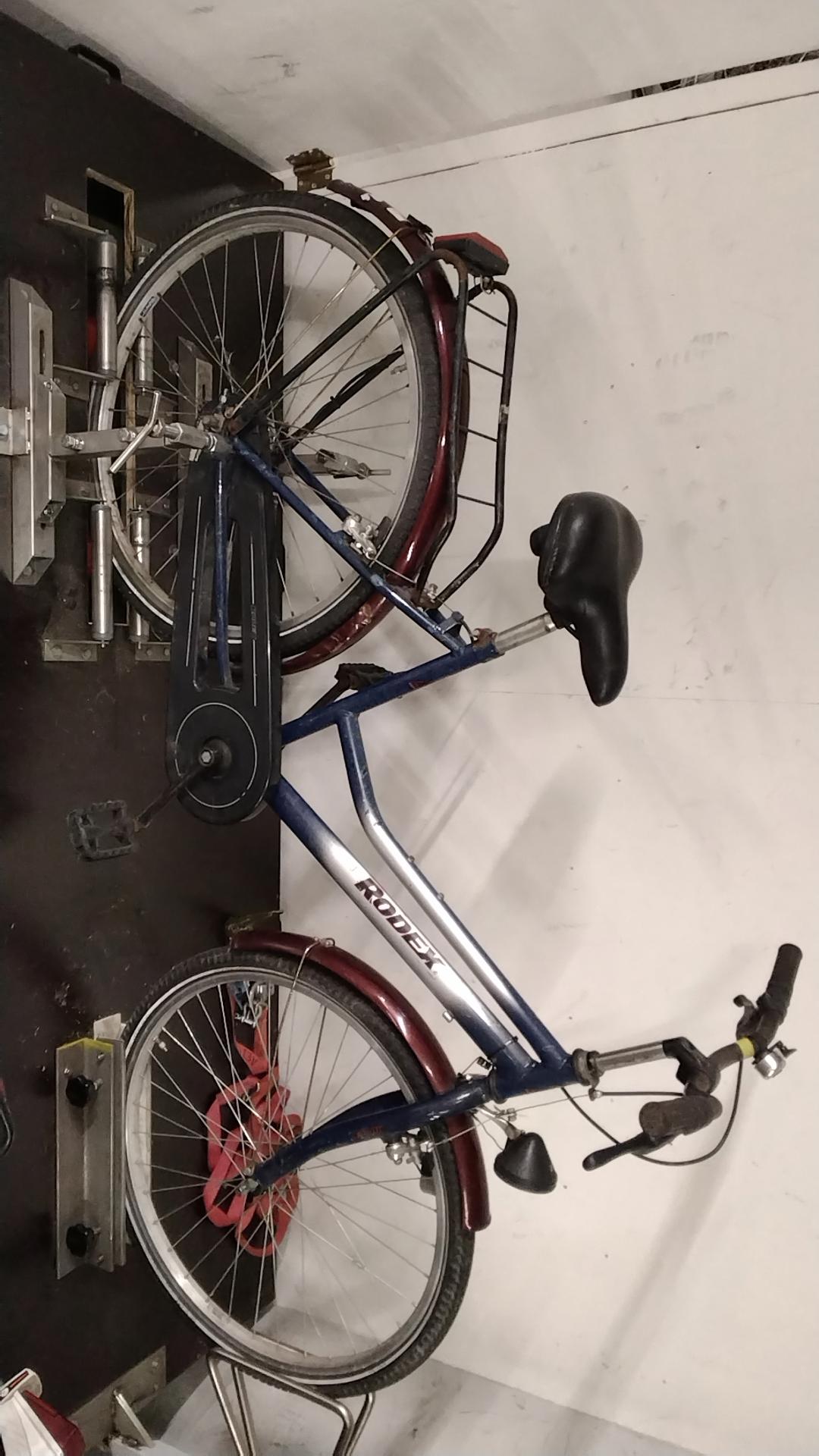 Rodex kinderfiets – handrem & terugtraprem | Tweedehands & rijklaar