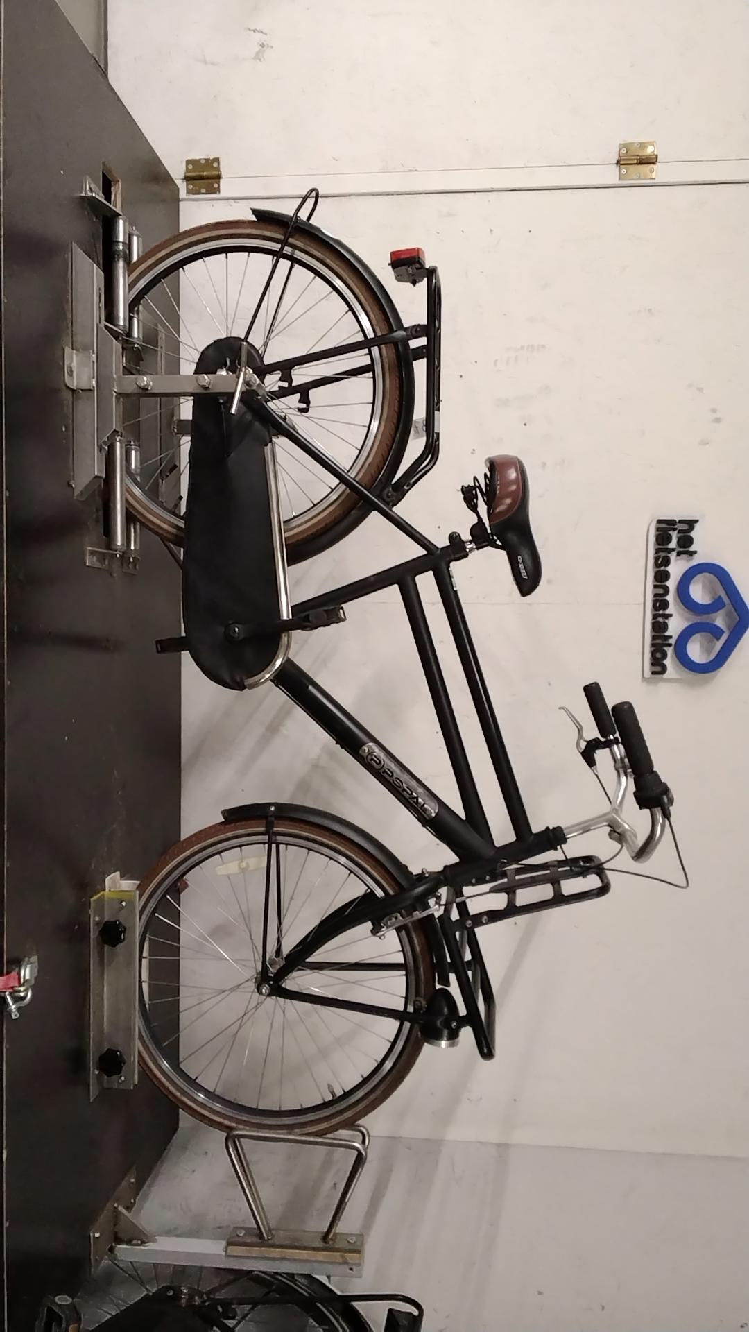 Popal Transport Kinderfiets 43 cm