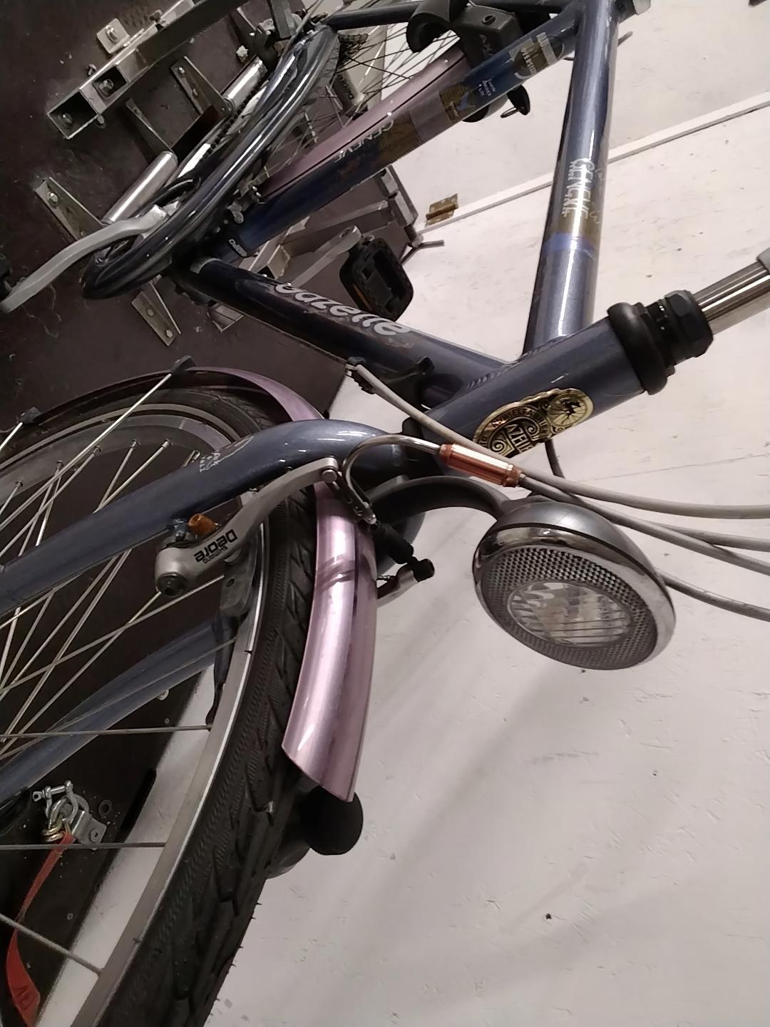 Fiets nr. 3978 Gazelle Geneve Herenfiets kleur Blauw
