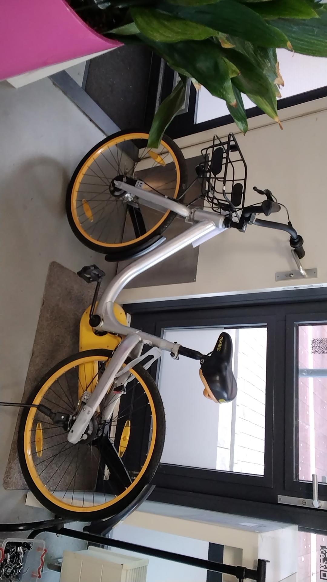 OBike Stadsfiets Damesfiets 39 cm