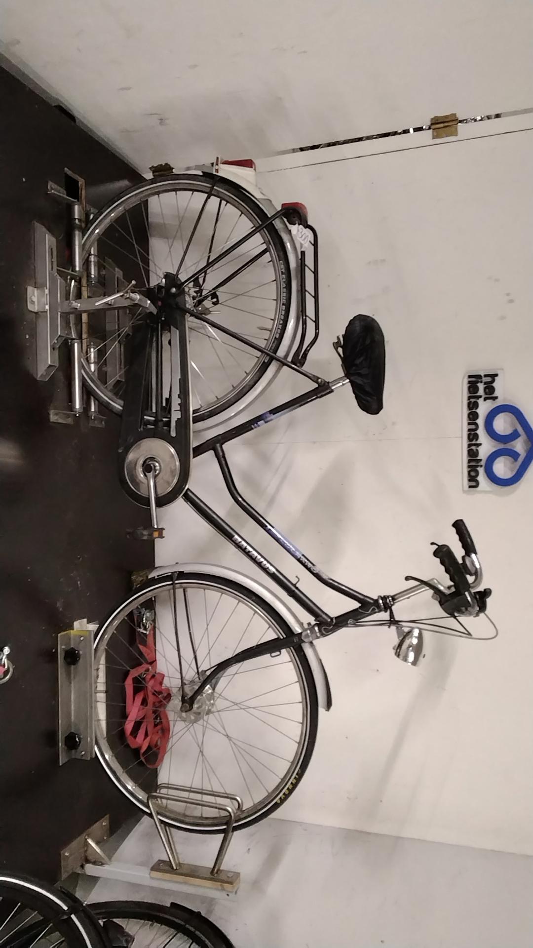 Batavus Locarno Damesfiets