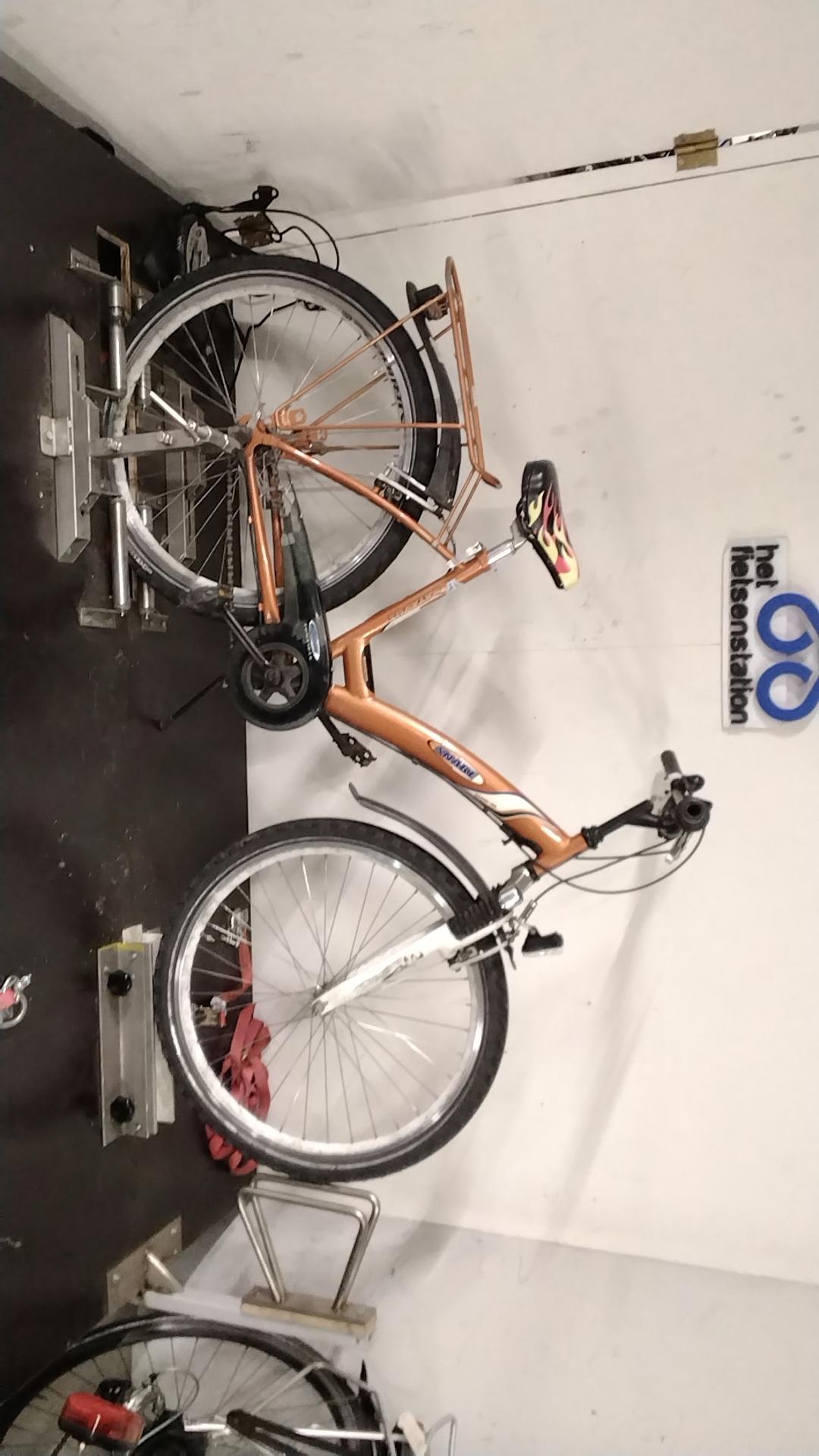 Batavus Snake Jongensfiets