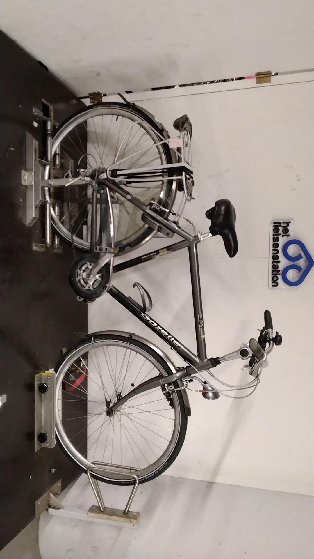 Gazelle Medeo Herenfiets – Sportief & compleet voor dagelijks gebruik