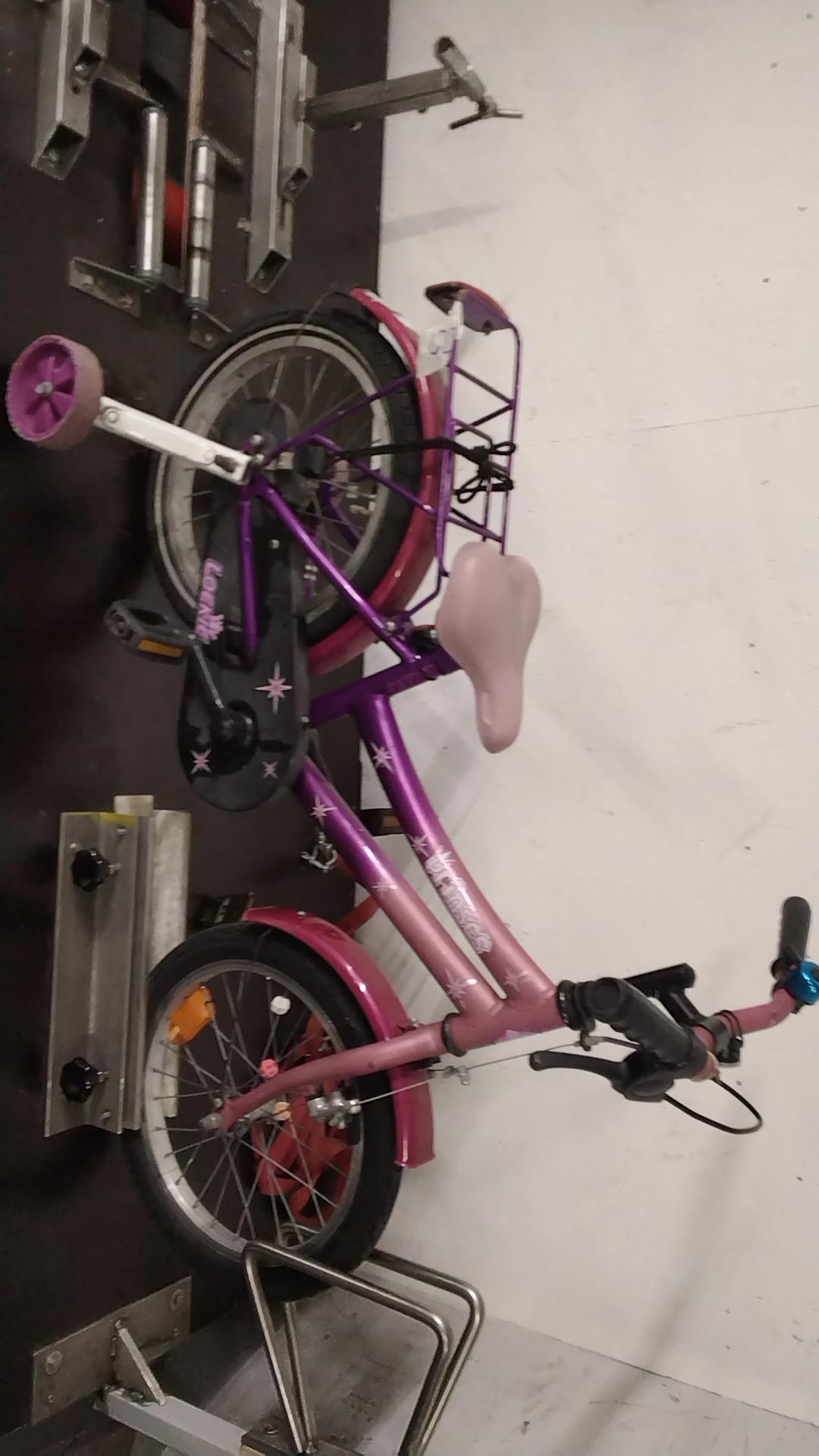 Loekie Prinses Meisjesfiets – Speels, veilig en direct rijklaar