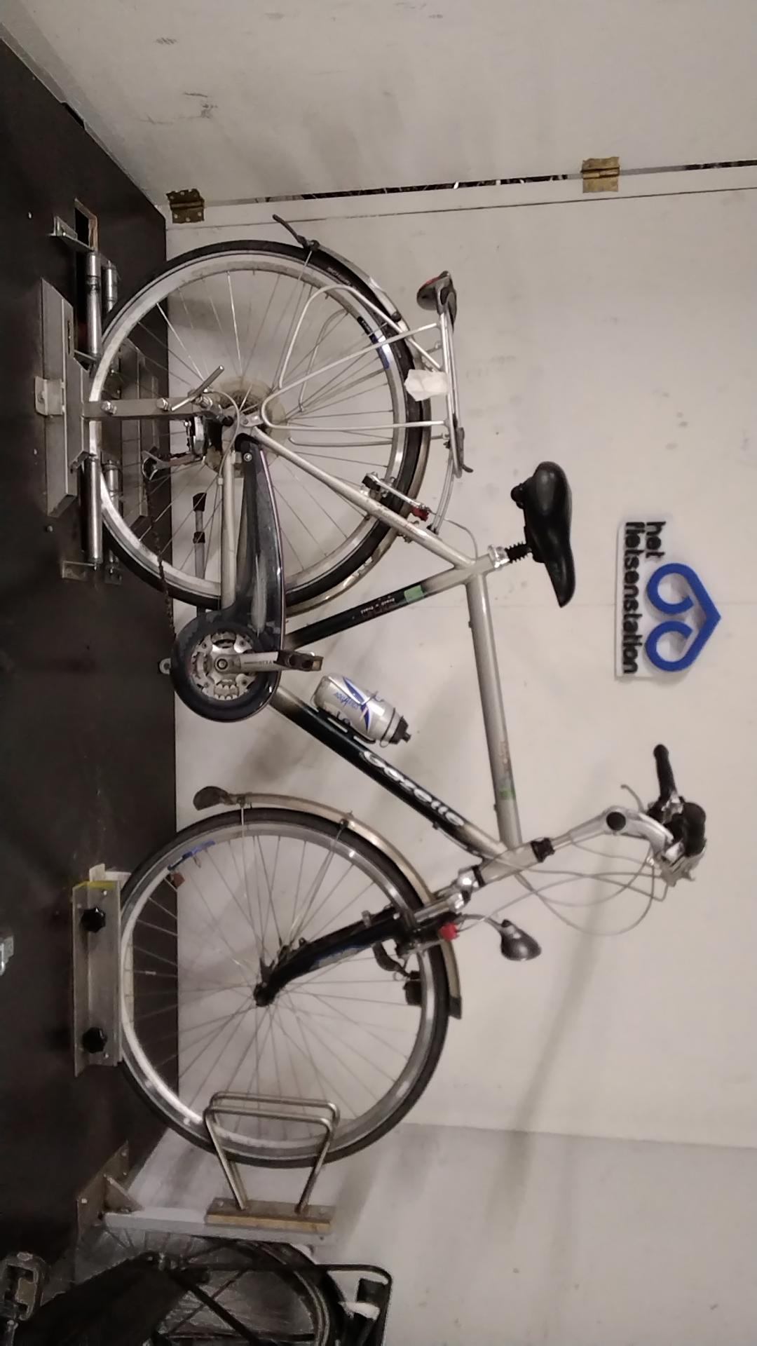 Gazelle Riacho Herenfiets 54 cm