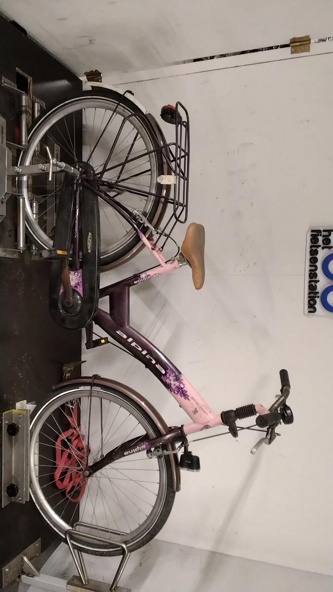 Fiets nr. 906 alpina girlpower Kinderfiets kleur Rood