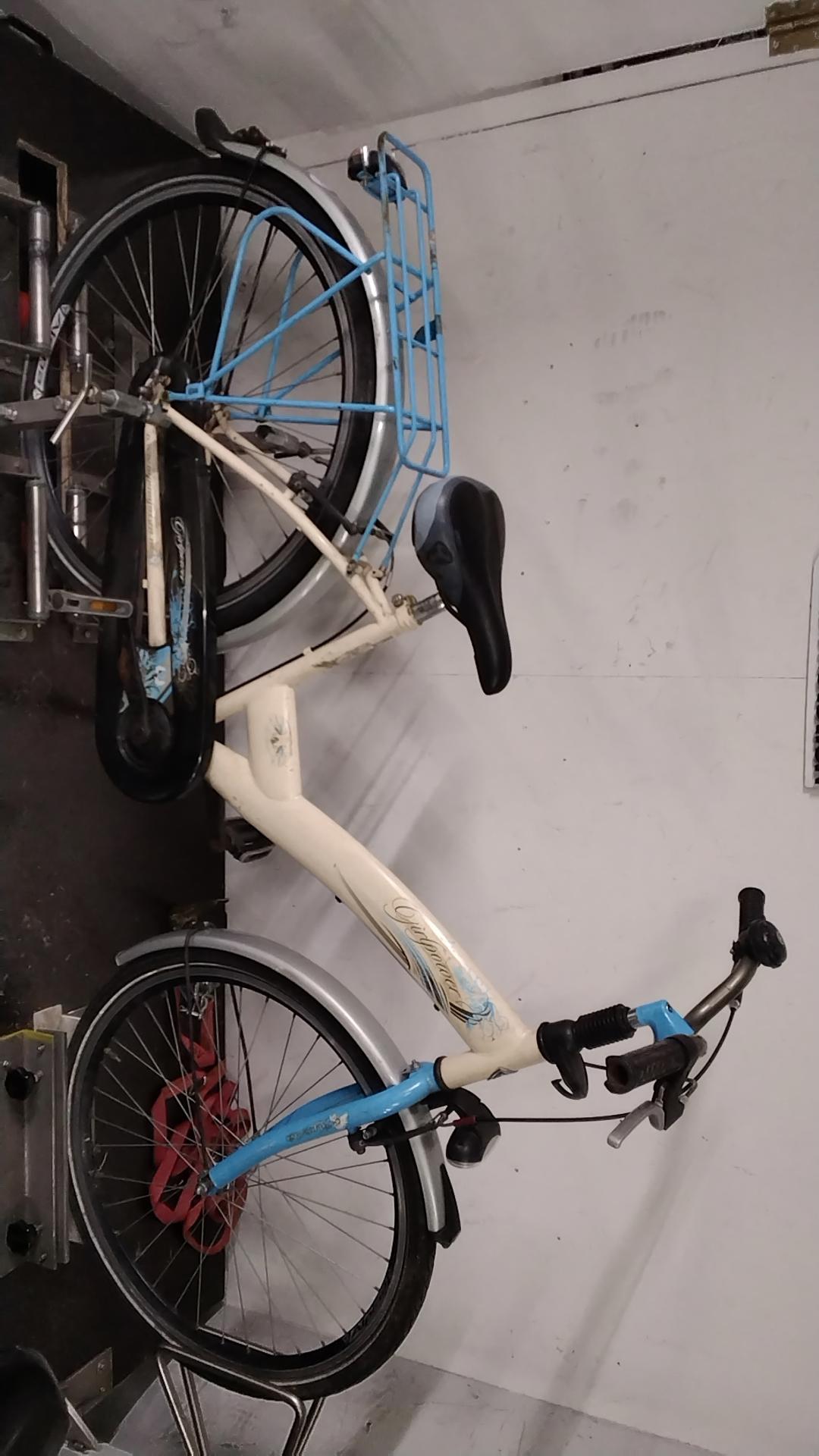 Alpina Girlpower kinderfiets – beige frame & terugtraprem | Tweedehands & rijklaar