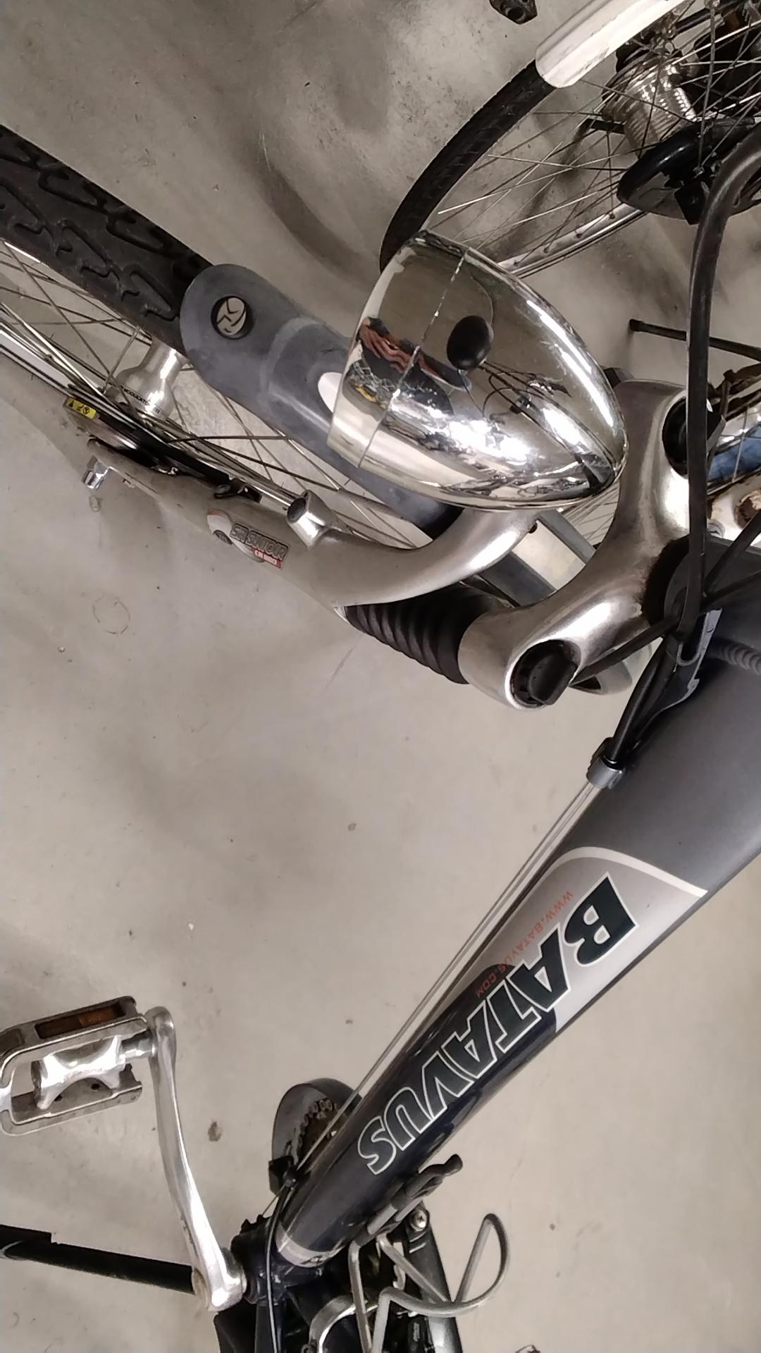 Fiets nr. 3729 Batavus Jakima Herenfiets kleur Overig