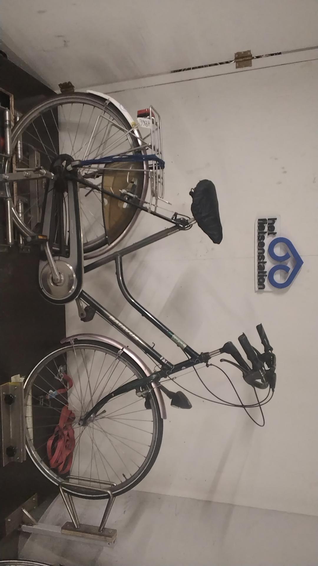 Batavus Traversa Damesfiets 60 cm