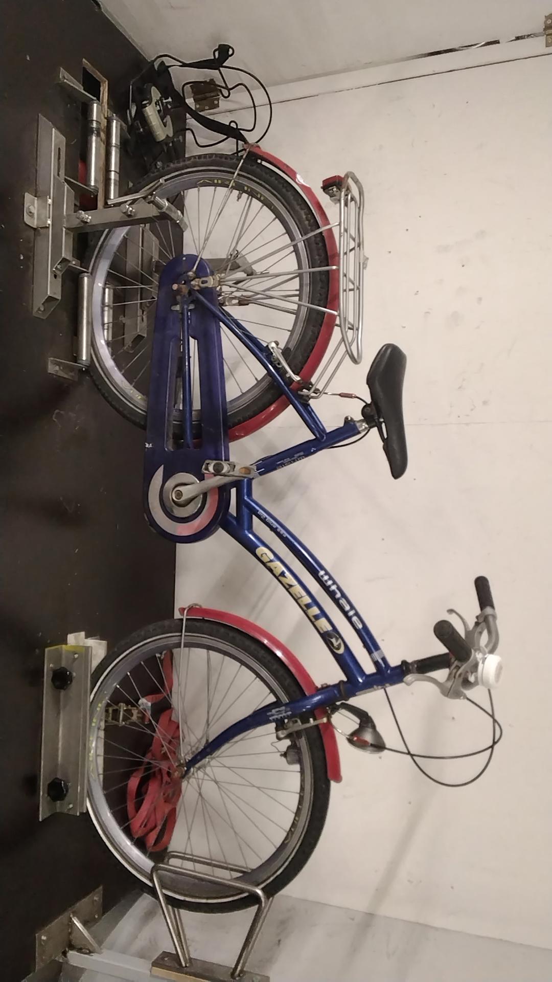 Gazelle whale Kinderfiets